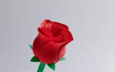 FDM-Rose
